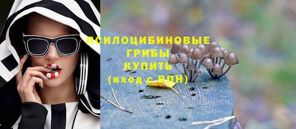мдпв Магас