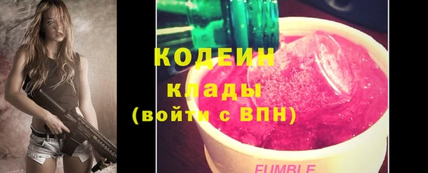 молекула духа Майский