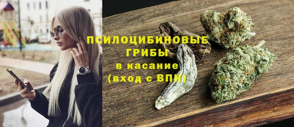 мдпв Магас