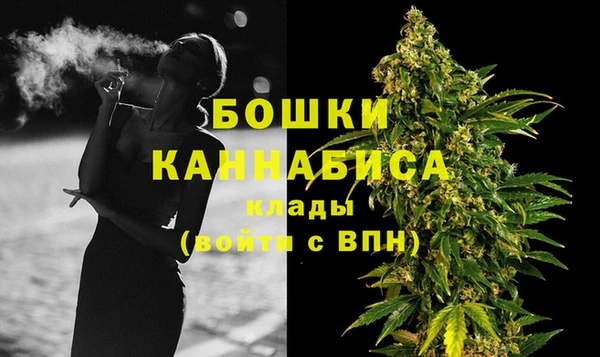 мдпв Магас