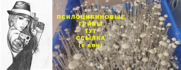 мдпв Магас