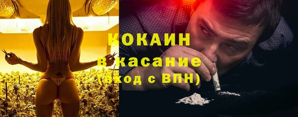 мдпв Магас