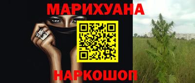 сатива Камень-на-Оби